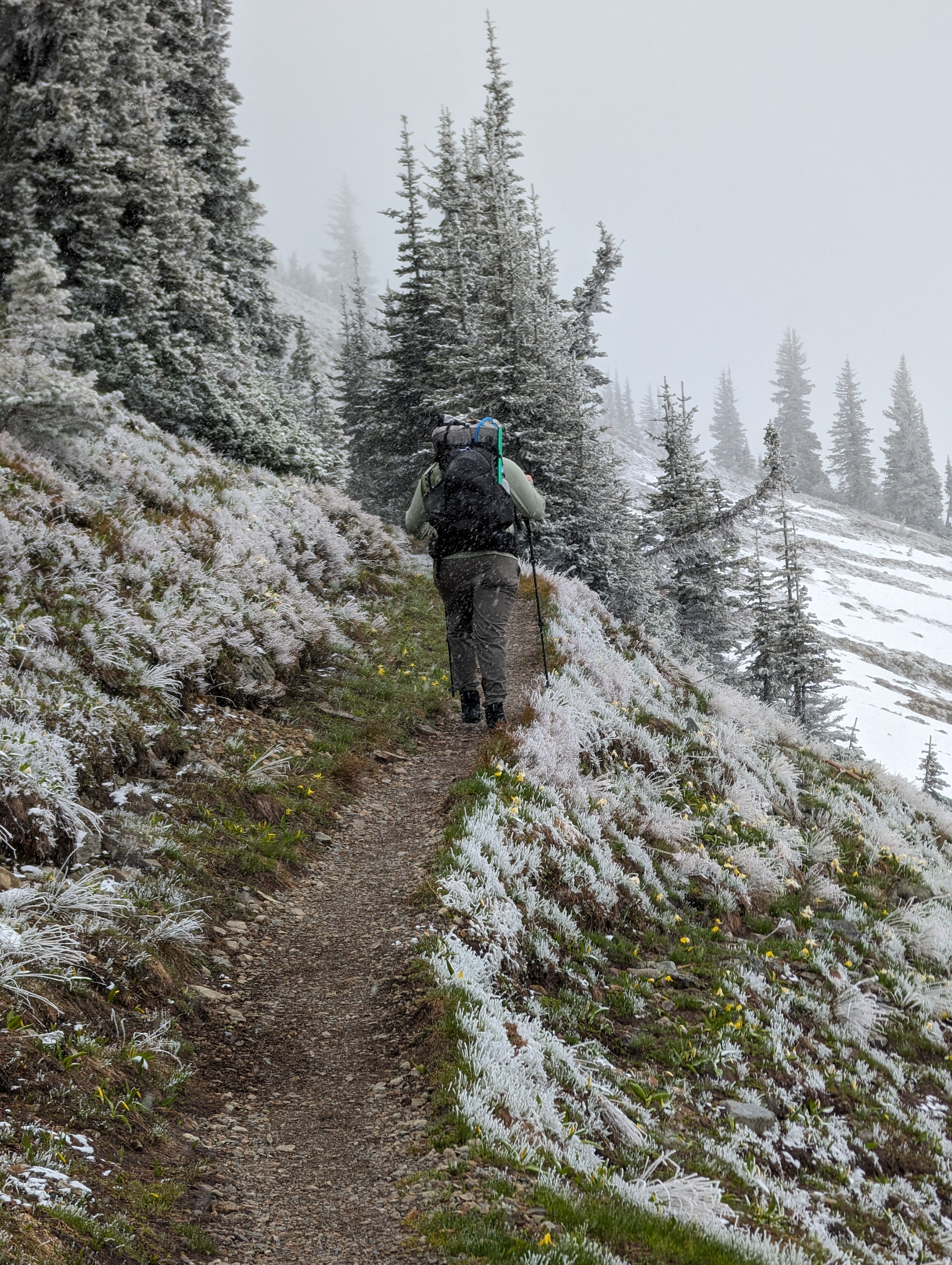 Scott hiking